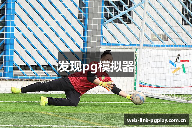 发现pg模拟器